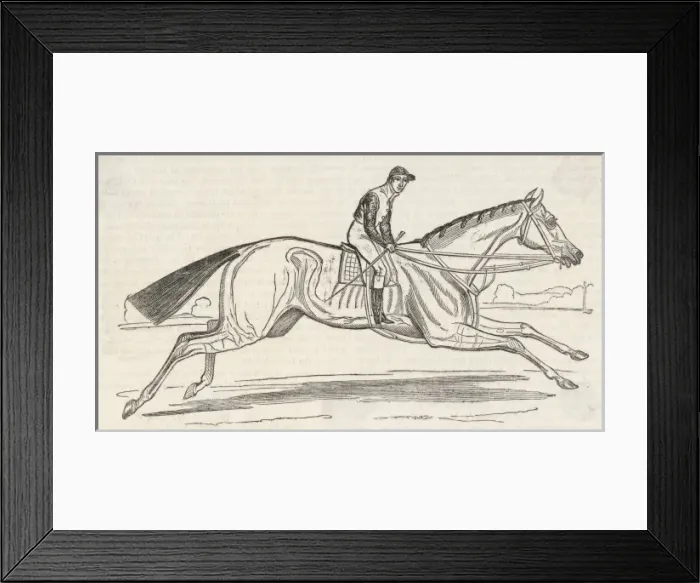 Framed Print : HORSE BEESWING Framed Print : HORSE BEESWING