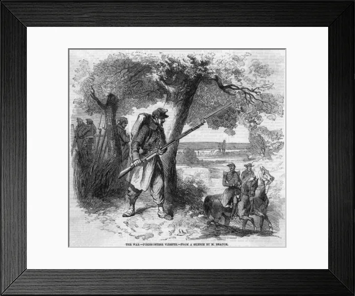 Framed Print : Piedmontese Vedette
