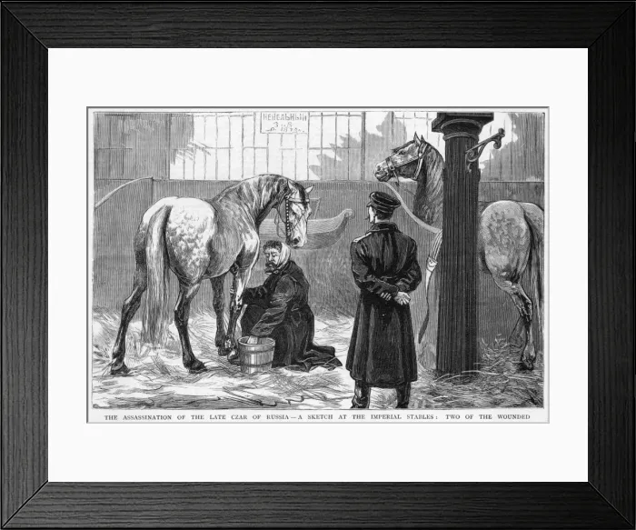 Framed Print : Wounded Horses Framed Print : Wounded Horses