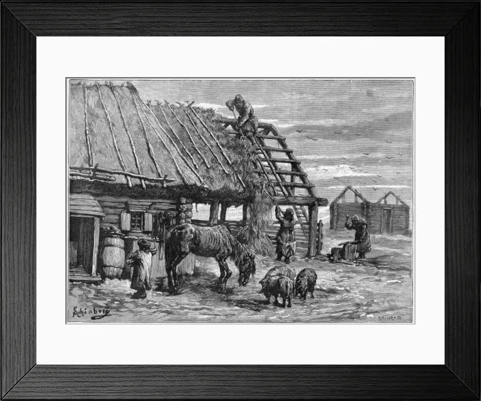 Framed Print : Thatch for Animals Framed Print : Thatch for Animals