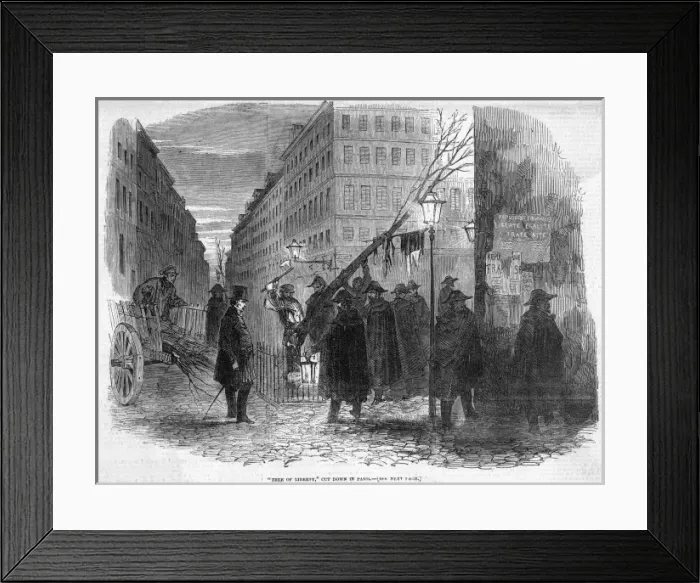 Framed Print : Tree of Liberty Felled Framed Print : Tree of Liberty Felled