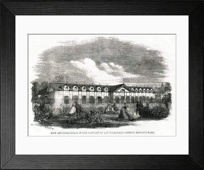 Framed Print : New antelope house - Gardens of Zoological Society 1861