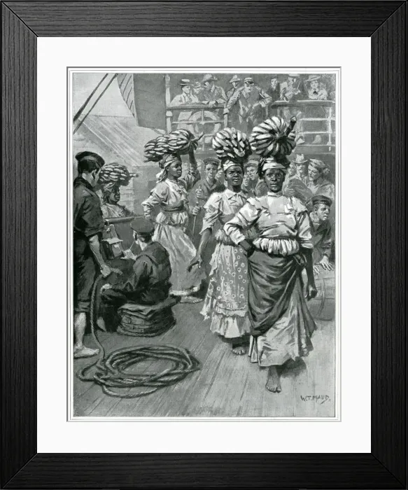 Framed Print : Jamaican export of bananas 1901
