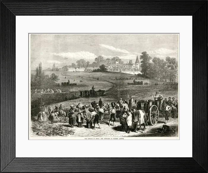 Framed Print : Vintage in Medoc: Vineyards of Chateau Lafitte 1871