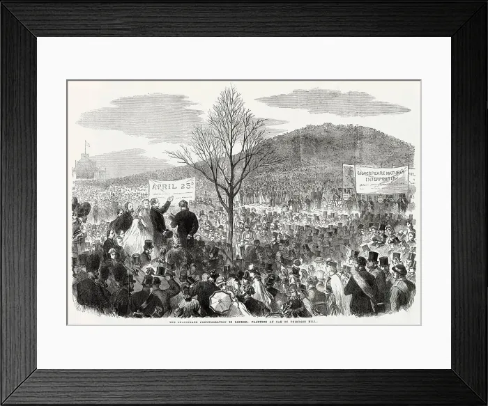 Framed Print : Samuel Phelps planting the young oak tree at the foot of Primrose Hill, London, to honour the English poet, William Shakespeare. Date: 23rd April 1864 Framed Print : Samuel Phelps planting the young oak tree at the foot of Primrose Hill, London, to honour the English poet, William Shakespeare. Date: 23rd April 1864