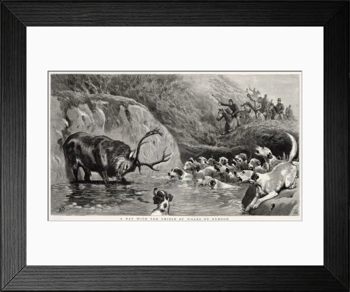 Framed Print : Prince of Wales (later Edward VII) in Exmoor, England. 1879 Framed Print : Prince of Wales (later Edward VII) in Exmoor, England. 1879