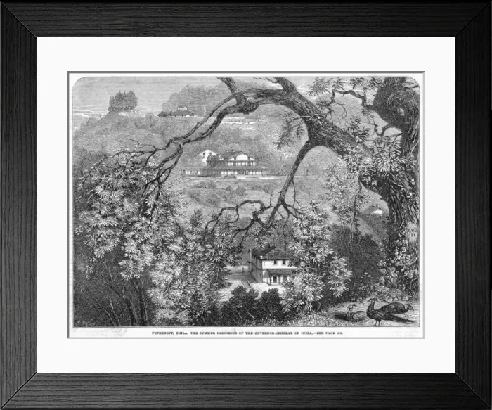 Framed Print : India  /  Simla
