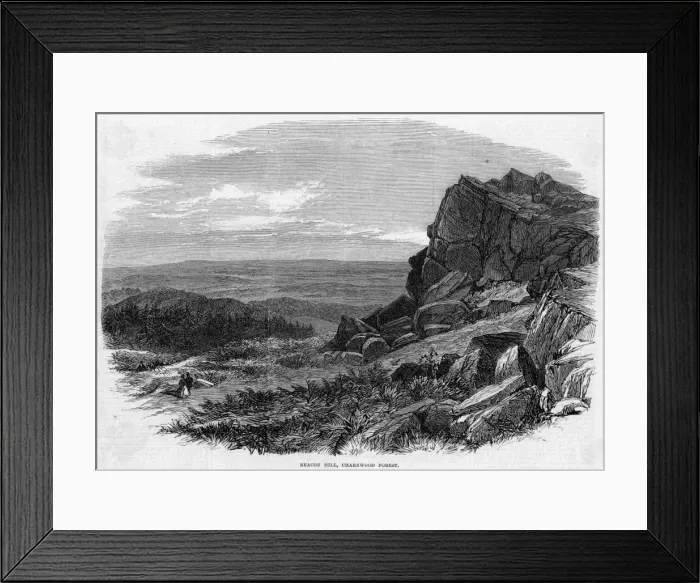 Framed Print : Charnwood Forest Framed Print : Charnwood Forest