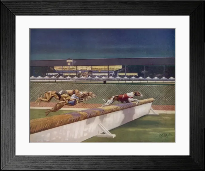Framed Print : Greyhounds over hurdles Framed Print : Greyhounds over hurdles