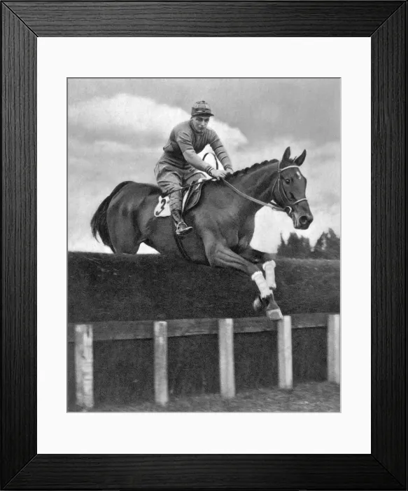 Framed Print : Miss Dorothy Pagets Golden Miller in action Framed Print : Miss Dorothy Pagets Golden Miller in action