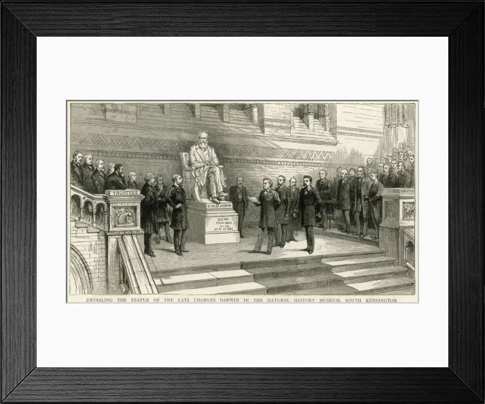Framed Print : Charles Darwin statue unveiled, 1885 Framed Print : Charles Darwin statue unveiled, 1885