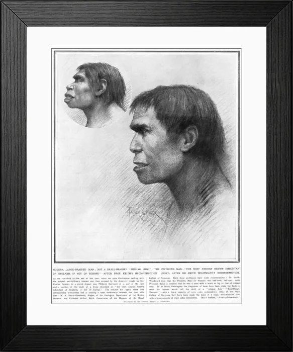 Framed Print : Piltdown man reconstructed Framed Print : Piltdown man reconstructed