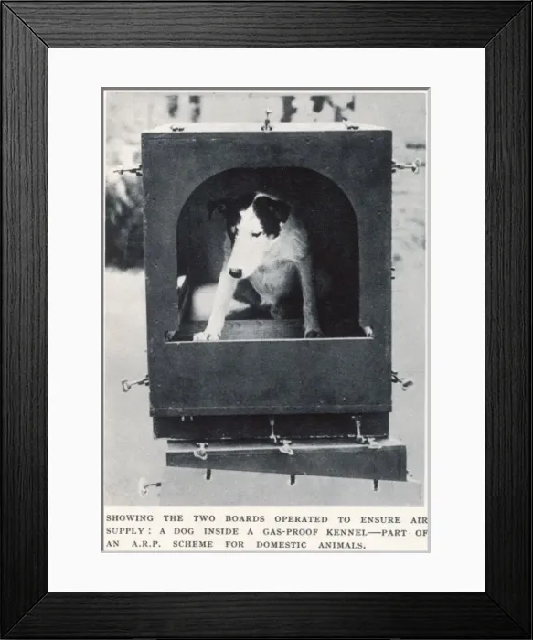Framed Print : Dog inside gas-proof kennel Framed Print : Dog inside gas-proof kennel