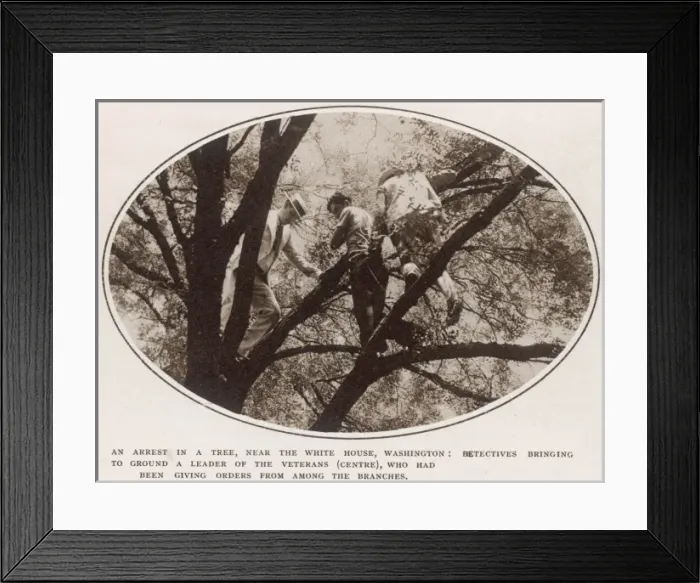 Framed Print : The Bonus Army: arrests made