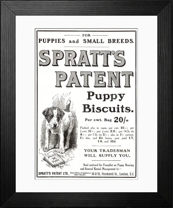 Framed Print : Patent biscuits for dogs. Date: 1907 Framed Print : Patent biscuits for dogs. Date: 1907