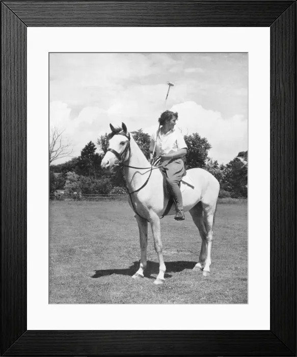 Framed Print : Polo player Framed Print : Polo player