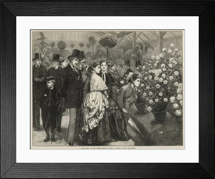 Framed Print : A Rose Show at the Horticultural Societys Gardens Framed Print : A Rose Show at the Horticultural Societys Gardens
