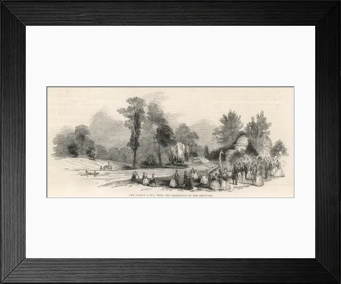 Framed Print : The Temple Lawn, Chiswick House Framed Print : The Temple Lawn, Chiswick House