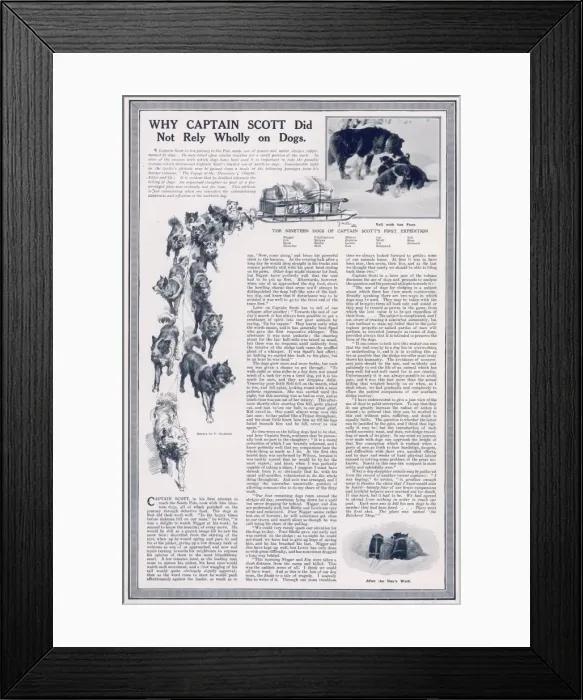 Framed Print : Why Captain Scott did not rely wholly on dogs Framed Print : Why Captain Scott did not rely wholly on dogs