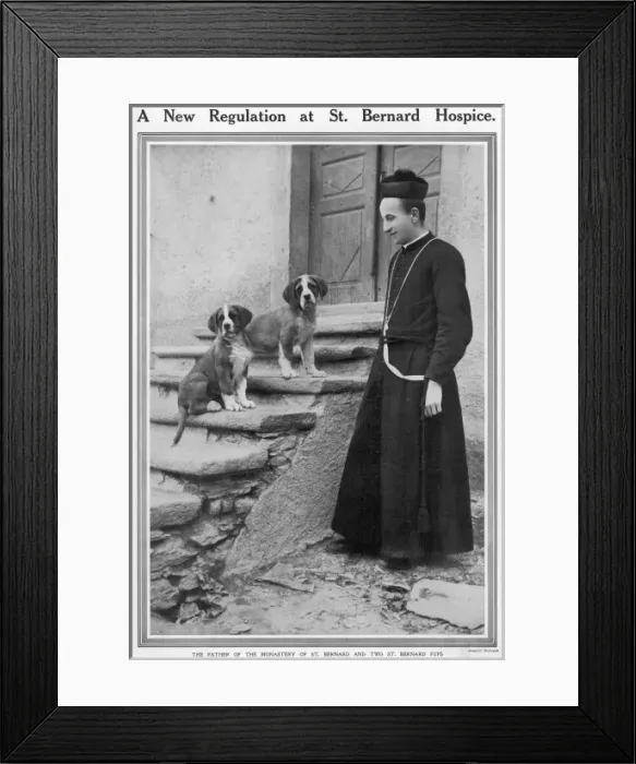 Framed Print : Father of the Monastery of Saint. Bernard, with dogs Framed Print : Father of the Monastery of Saint. Bernard, with dogs