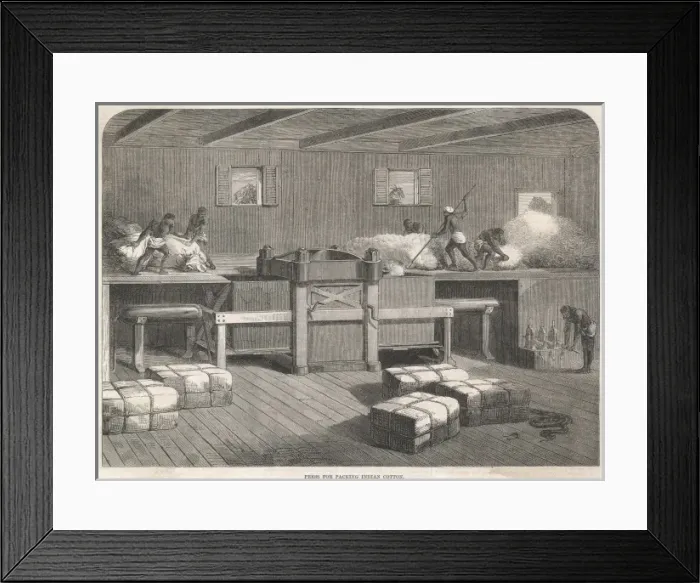 Framed Print : Press for packing Indian cotton Framed Print : Press for packing Indian cotton