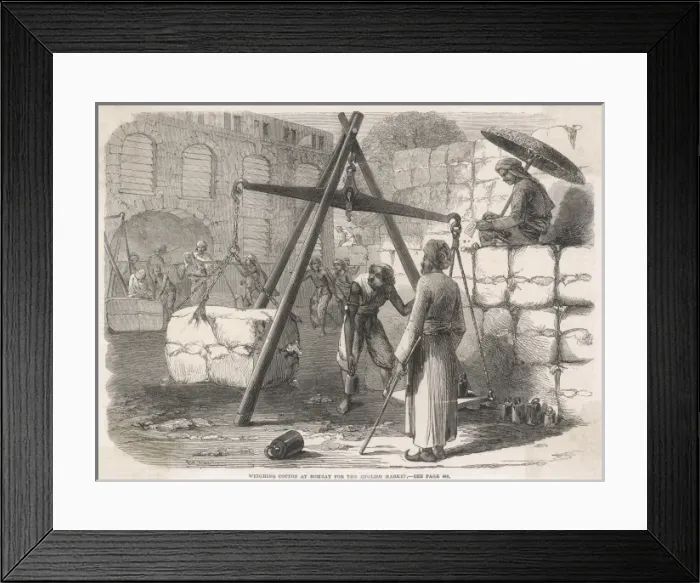 Framed Print : Weighing cotton, India