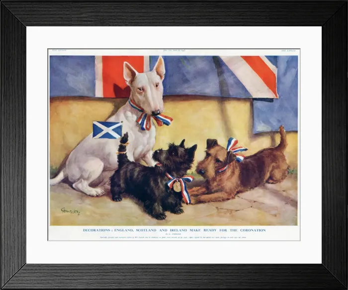 Framed Print : Patriotic dogs