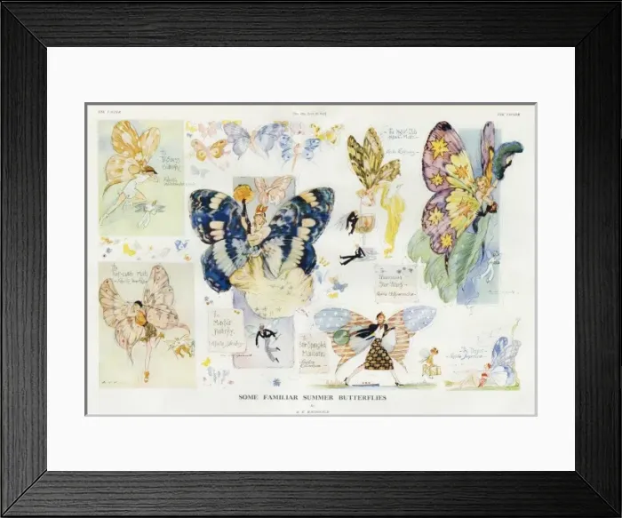 Framed Print : Some Familiar Summer Butterflies by A. K. Macdonald Framed Print : Some Familiar Summer Butterflies by A. K. Macdonald