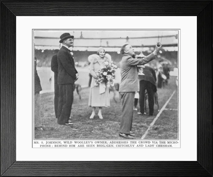 Framed Print : Greyhound Derby winner Mr Johnson Framed Print : Greyhound Derby winner Mr Johnson