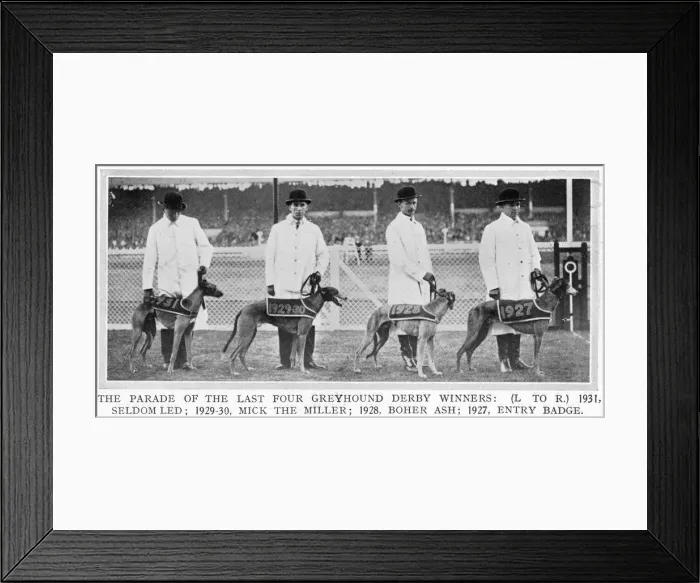 Framed Print : Four Greyhound Derby winners Framed Print : Four Greyhound Derby winners