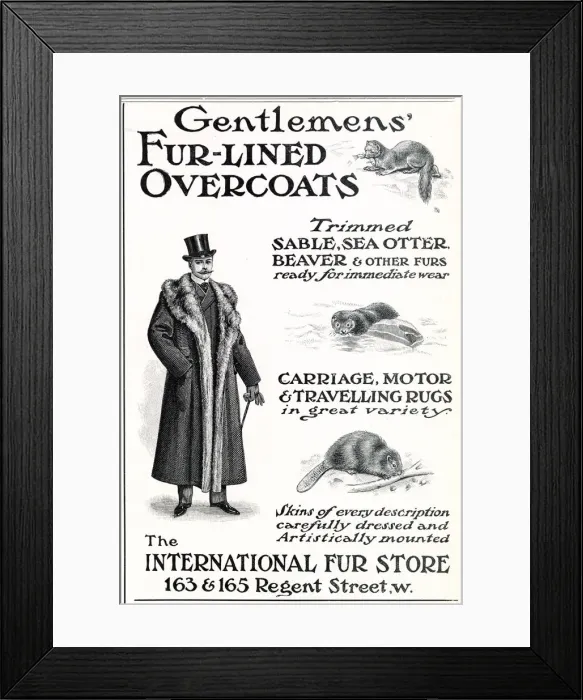 Framed Print : Advert for International Fur Store 1903 Framed Print : Advert for International Fur Store 1903