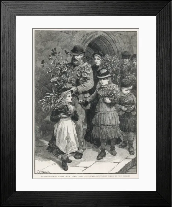 Framed Print : Flower show