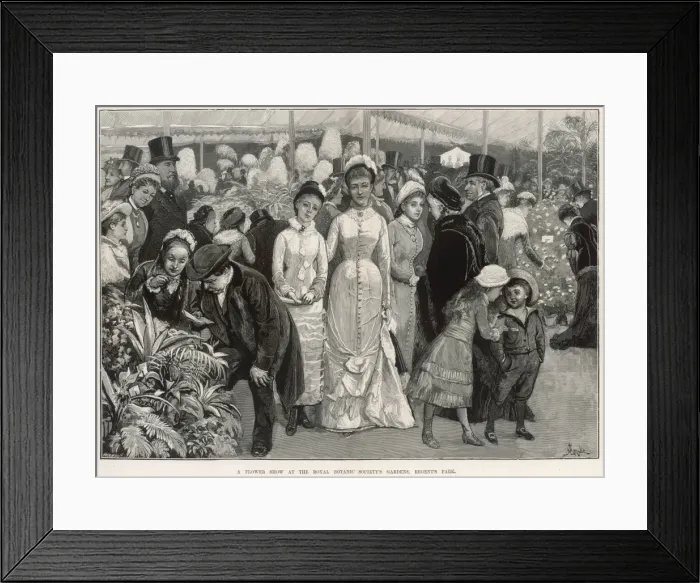 Framed Print : Flower show 1880
