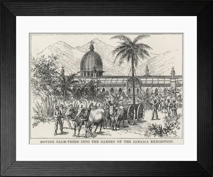Framed Print : The Jamaica Exhibition Framed Print : The Jamaica Exhibition
