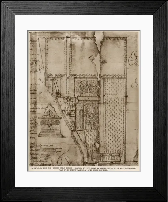 Framed Print : Plan of John Evelyns garden Framed Print : Plan of John Evelyns garden