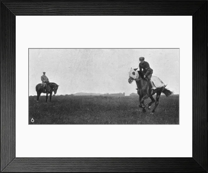 Framed Print : Watching Bayardo at exercise Framed Print : Watching Bayardo at exercise