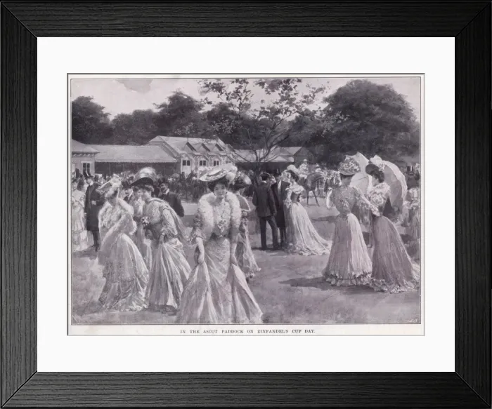 Framed Print : Zinfandels Cup Day, Ascot