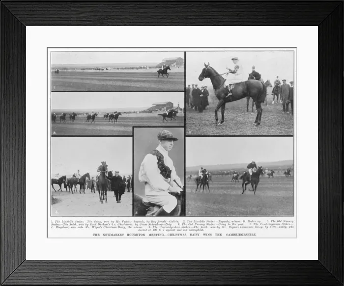 Framed Print : The Newmarket Houghton Meeting
