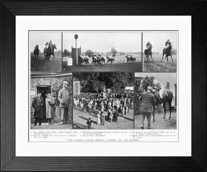 Framed Print : Horse racing at Sandown Framed Print : Horse racing at Sandown