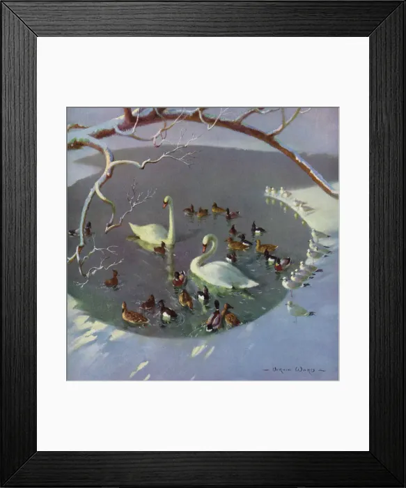Framed Print : Winter Circle by Vernon Ward Framed Print : Winter Circle by Vernon Ward