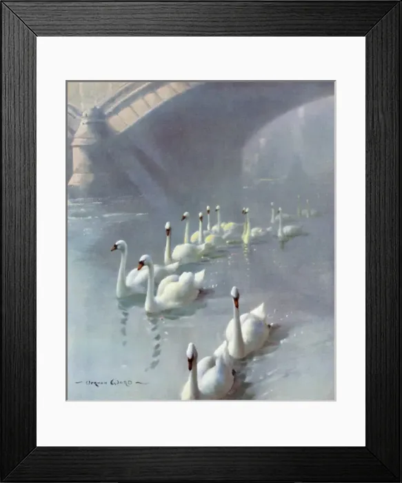 Framed Print : Regal Procession by Vernon Ward Framed Print : Regal Procession by Vernon Ward