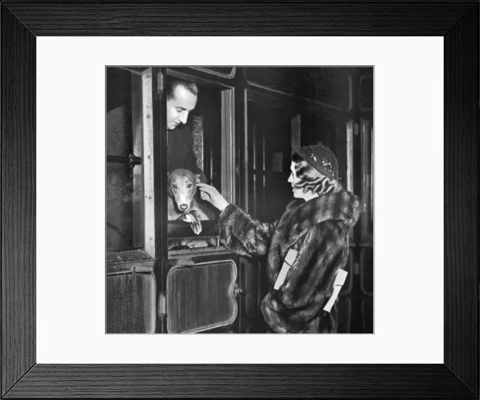 Framed Print : Mrs Kempton bids farewell to Mick the Miller Framed Print : Mrs Kempton bids farewell to Mick the Miller