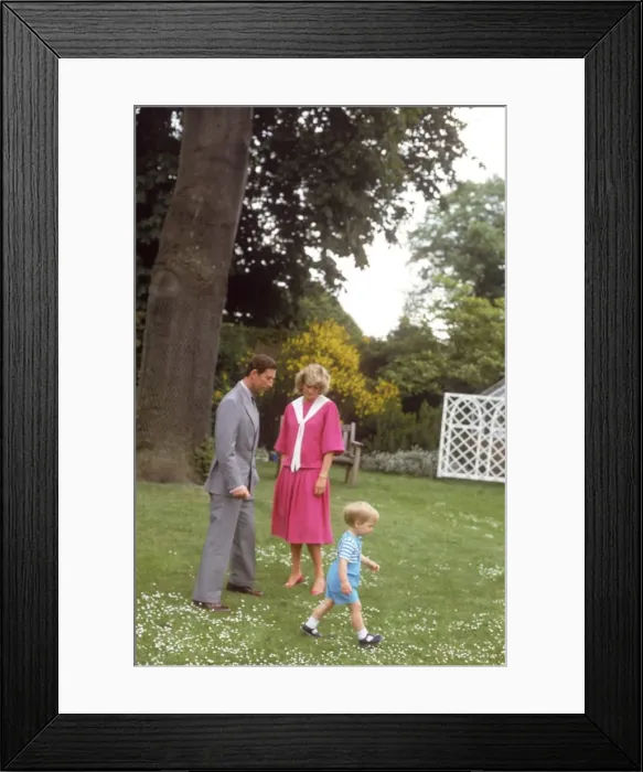 Framed Print : Prince Charles, Princess Diana and Prince William Framed Print : Prince Charles, Princess Diana and Prince William