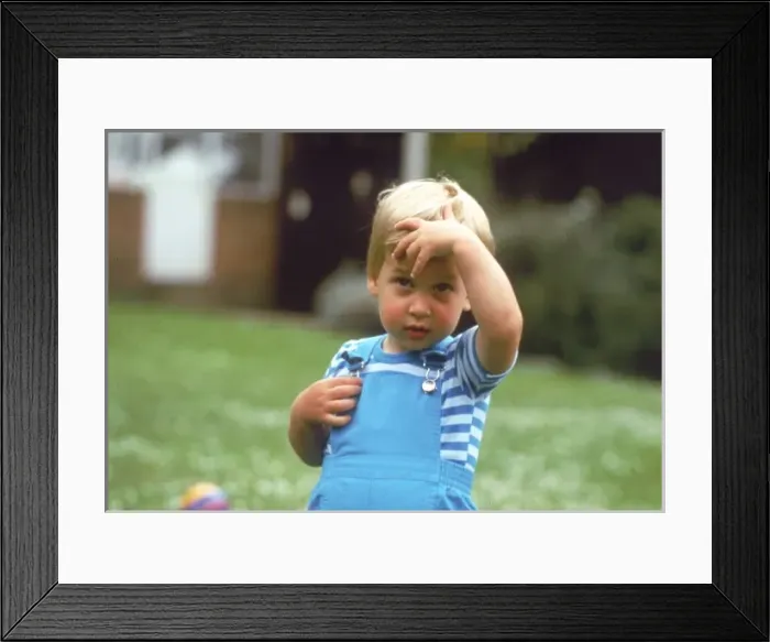 Framed Print : Prince William of Wales Framed Print : Prince William of Wales