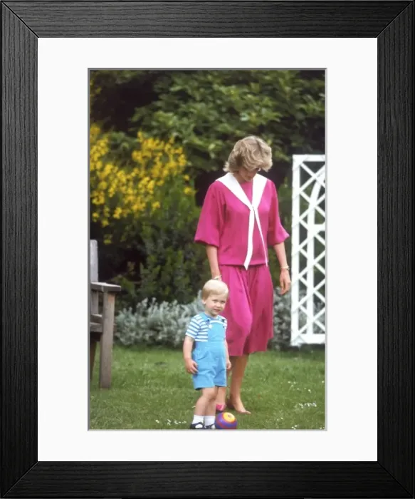 Framed Print : Prince William of Wales Framed Print : Prince William of Wales