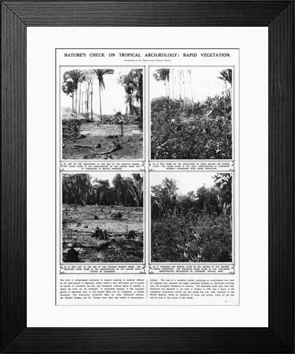 Framed Print : Lubaantun archaeology - rapid tropical growth