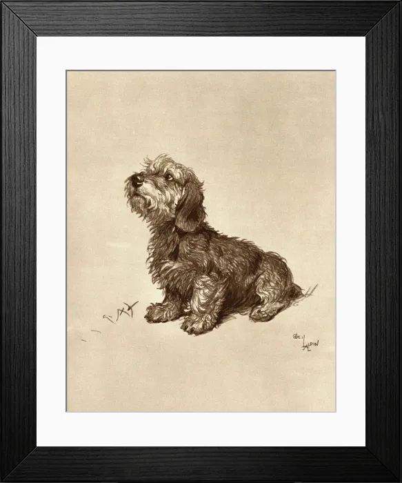 Framed Print : Ticked Off by Cecil Aldin Framed Print : Ticked Off by Cecil Aldin