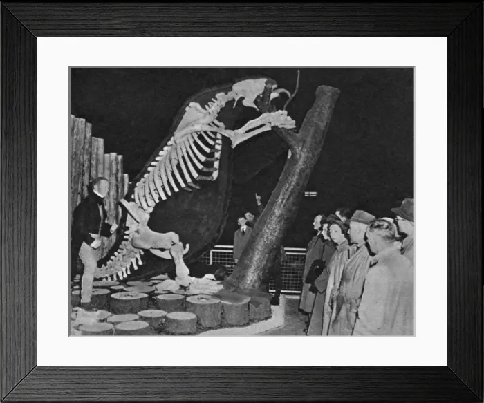 Framed Print : Picture No. 10507785