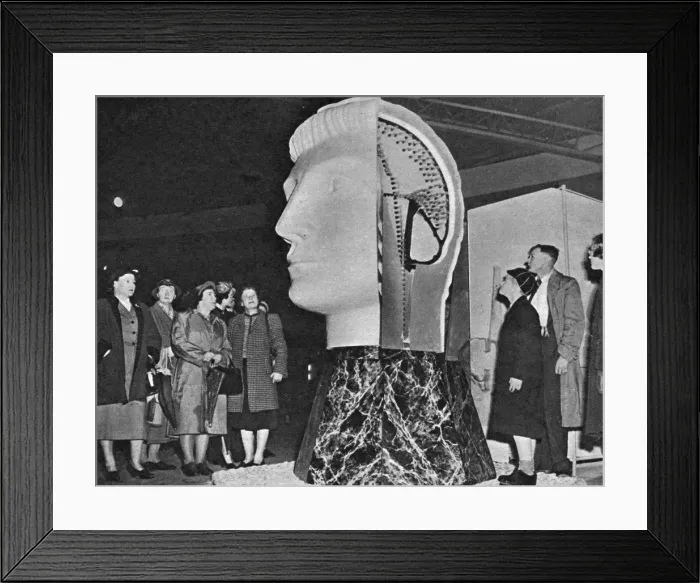 Framed Print : Picture No. 10507786