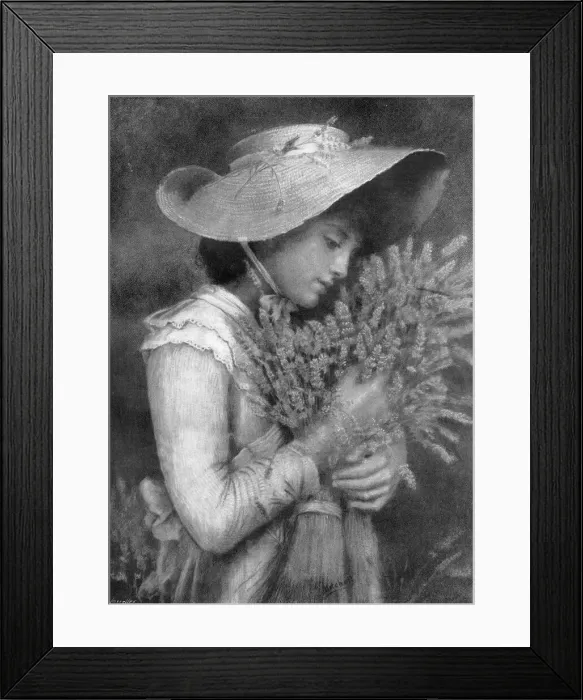 Framed Print : Sweet Lavender by Emily Stride Framed Print : Sweet Lavender by Emily Stride
